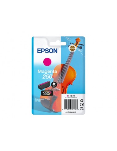 Epson 250 Magenta Cartucho de Tinta Original - C13T16N34010