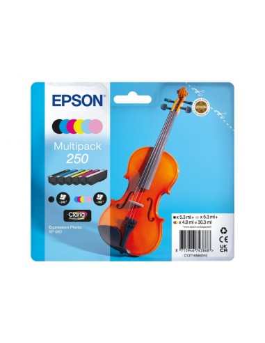 Epson 250 Pack de 6 Cartuchos de Tinta Originales - C13T16N84010