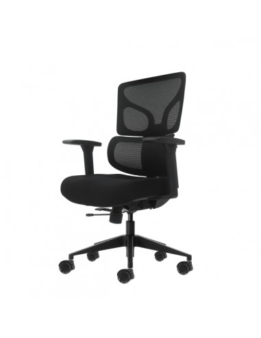 Oqonos Cherg 012 Silla de Oficina Ergonomica con Respaldo y Asiento de Malla Elastica-Reposabrazos 4D-Asiento Deslizable