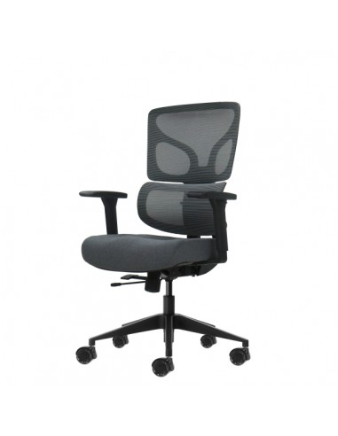 Oqonos Cherg 013 Silla de Oficina Ergonomica con Respaldo y Asiento de Malla Elastica-Reposabrazos 4D-Asiento Deslizable