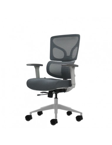 Oqonos Cherg 015 Silla de Oficina Ergonomica con Respaldo y Asiento de Malla Elastica-Reposabrazos 4D-Asiento Deslizable
