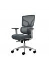 Oqonos Cherg 015 Silla de Oficina Ergonomica con Respaldo y Asiento de Malla Elastica-Reposabrazos 4D-Asiento Deslizable