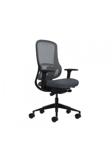 Oqonos Cherg 020 Silla de Oficina Ergonomica con Mecanismo Autobalanceado-Reposabrazos 4D-Asiento Deslizable y Ruedas de