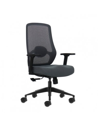 Oqonos Cherg 025 Silla de Oficina Ergonomica con Soporte Lumbar Ajustable en Altura y Profundidad-Reposabrazos 4D-Piston de