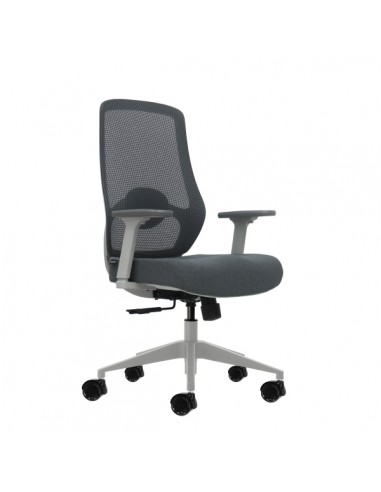 Oqonos Cherg 026 Silla de Oficina Ergonomica con Soporte Lumbar Ajustable en Altura y Profundidad-Reposabrazos 4D-Piston de