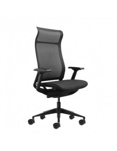 Oqonos Cherg 028 Silla de Oficina Ergonomica con Respaldo y Asiento de Malla Elastica-Mecanismo Autobalanceado-Reposabrazos