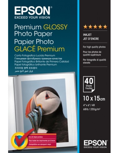 Epson Premium Glossy Photo Pack de 40 Hojas de Papel Fotografico - 10x15cm - Gramaje de 255g m2 - Acabado Brillante -