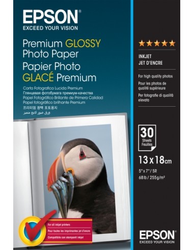 Epson Premium Glossy Photo Pack de 30 Hojas de Papel Fotografico - 13x18cm - Gramaje de 255g m2 - Acabado Brillante -