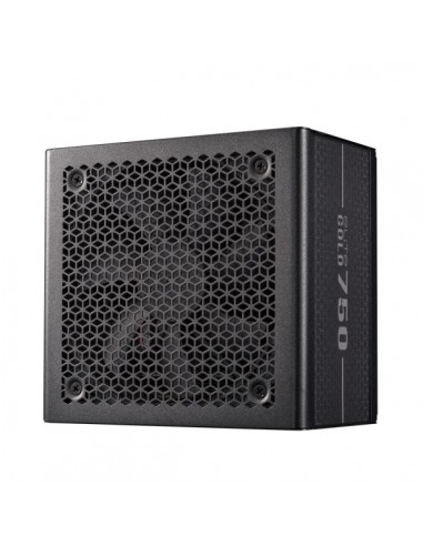 Cooler Master Elite Gold Fuente de Alimentacion 80-Gold 750W - ATX 3.1 - PCIe Gen 5.1 - PFC Activo - Full Modular