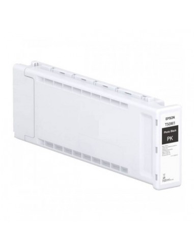 Epson T50M1 Negro Photo Cartucho de Tinta Original - C13T50M100