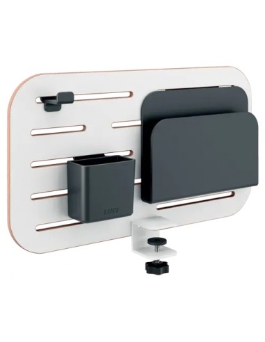 Leitz Ergo Panel Organizador PequeÃ±o de Escritorio - Incluye Soporte para Boligrafos-Soporte para Blocs y Gancho para