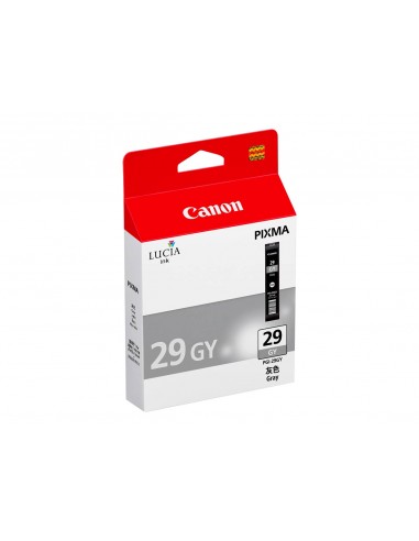 Canon PGI29 Gris Cartucho de Tinta Original - 4871B001
