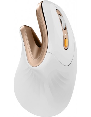 ProtoArc EM11 NL Raton Vertical Ergonomico Inalambrico - 2400 dpi --Bluetooth-2.4Ghz - Bateria Recargable -