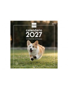 Finocam Cachorros Calendario de Pared - 16 Meses 26 27 - Mes Vista - 300x300mm - Papel de 170g m2 - Imagenes Tematicas