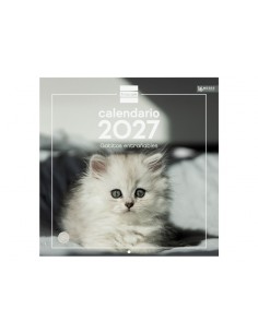 Finocam Gatitos Calendario de Pared - 16 Meses 26 27 - Mes Vista - 300x300mm - Papel de 170g m2 - Imagenes Tematicas Surtidas