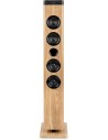 Thomson DS220CD Torre de Sonido 60W Bluetooth 5.3 - Reproductor de CD - Entrada AUX 3 5mm-USB y Lector de Tarjetas SD MMC -