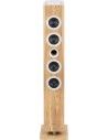 Thomson DS220CD Torre de Sonido 60W Bluetooth 5.3 - Reproductor de CD - Entrada AUX 3 5mm-USB y Lector de Tarjetas SD MMC -
