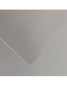 Canson Guarro Pack de 25 Cartulinas Iris A4 de 185g - 50x65cm - Color Plata