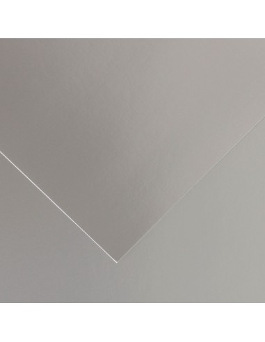 Canson Guarro Pack de 25 Cartulinas Iris A4 de 185g - 50x65cm - Color Plata