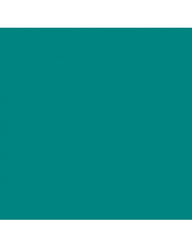 Canson Guarro Pack de 25 Cartulinas Iris A4 de 185g - 50x65cm - Color Verde Menta