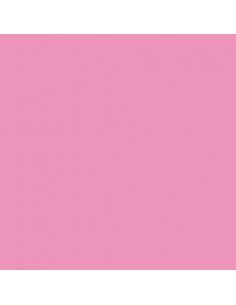 Canson Guarro Pack de 25 Cartulinas Iris A4 de 185g - 50x65cm - Color Rosa Chicle