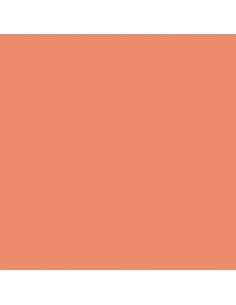 Canson Guarro Pack de 25 Cartulinas Iris A4 de 185g - 50x65cm - Color Coral