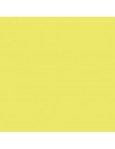 Canson Guarro Pack de 25 Cartulinas Iris A4 de 185g - 50x65cm - Color Kiwi