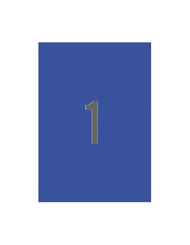 Apli Etiquetas Azules Permanentes 210.0 x 297.0mm 20 Hojas