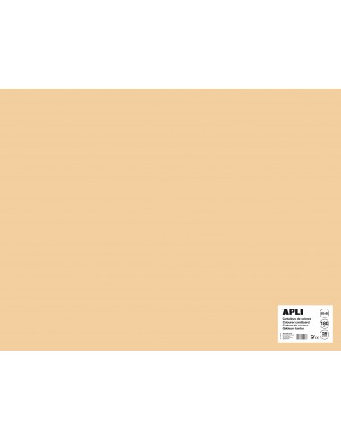 Apli Cartulina Salmon 50 x 65mm 170g 25 Hojas