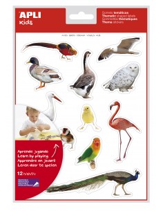 Apli Gomets Tematicos Realistas de Aves - 144 Gomets en 12 Hojas - Imagenes Realistas para Relacionar Aves - Desarrolla