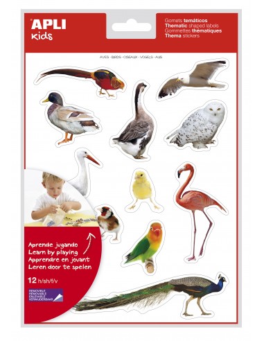 Apli Gomets Tematicos Realistas de Aves - 144 Gomets en 12 Hojas - Imagenes Realistas para Relacionar Aves - Desarrolla