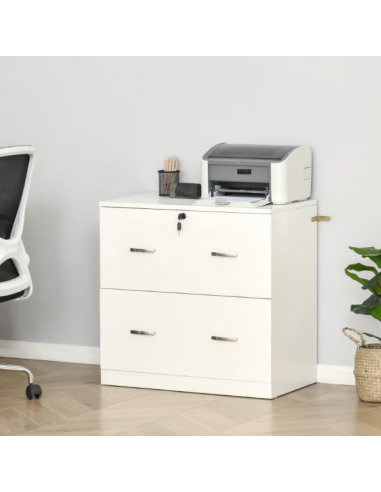 Cajonera carpetas colgantes A4 y 2...